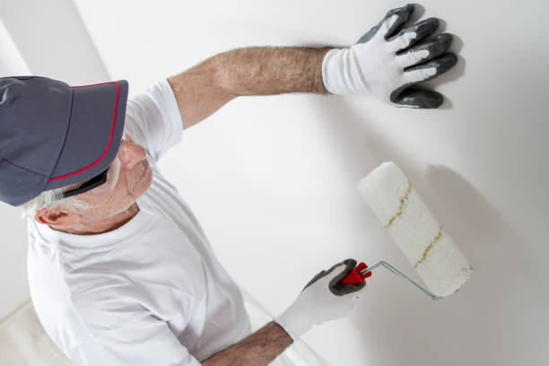 Best Mold Damage Restoration  in Siesta Key, FL