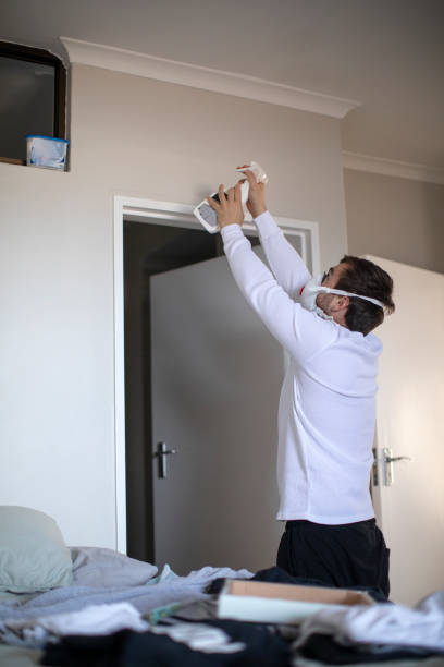 Best Emergency Mold Remediation  in Siesta Key, FL