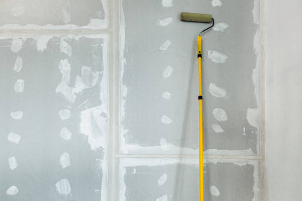 Best Residential Mold Inspection & Testing  in Siesta Key, FL
