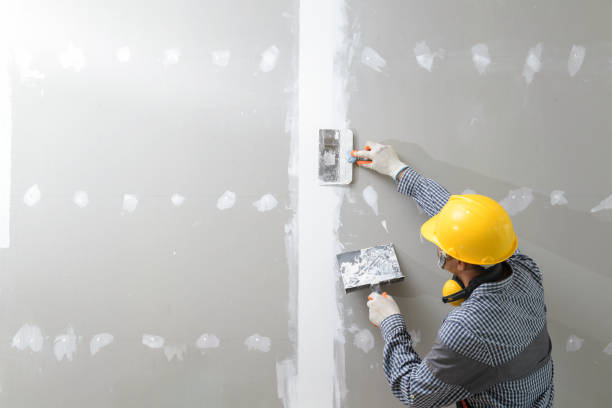  Siesta Key, FL Mold Removal Pros