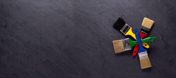 Best Basement Mold Removal  in Siesta Key, FL