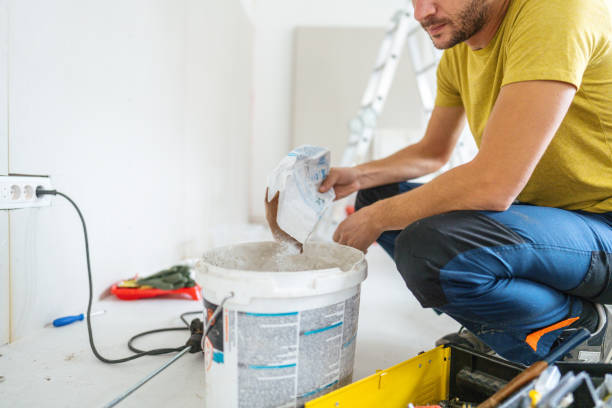 Best Post-Construction Mold Inspection  in Siesta Key, FL