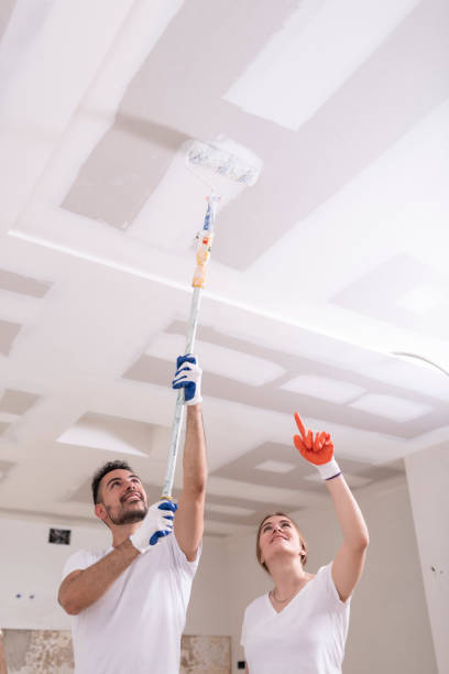 Siesta Key, FL Mold Removal Company
