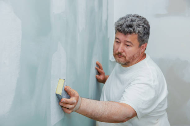 Best Black Mold Removal  in Siesta Key, FL