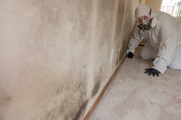 Best HVAC Mold Inspection and Cleaning  in Siesta Key, FL